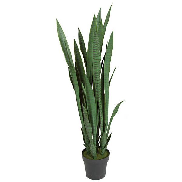 Inch Plastic Dark Green Sansevieria Plant Potted A