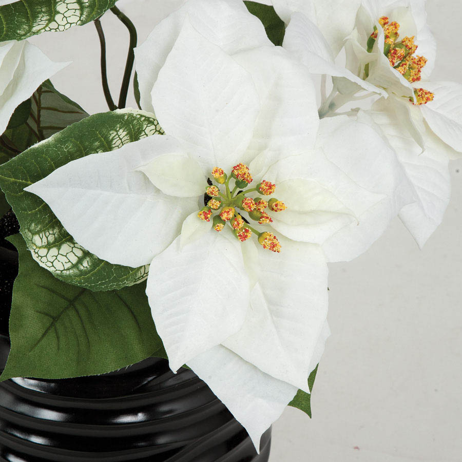 18 Inch White Poinsettia Bush With 5 Flowers: (Set Of 12) | P-150240 ...