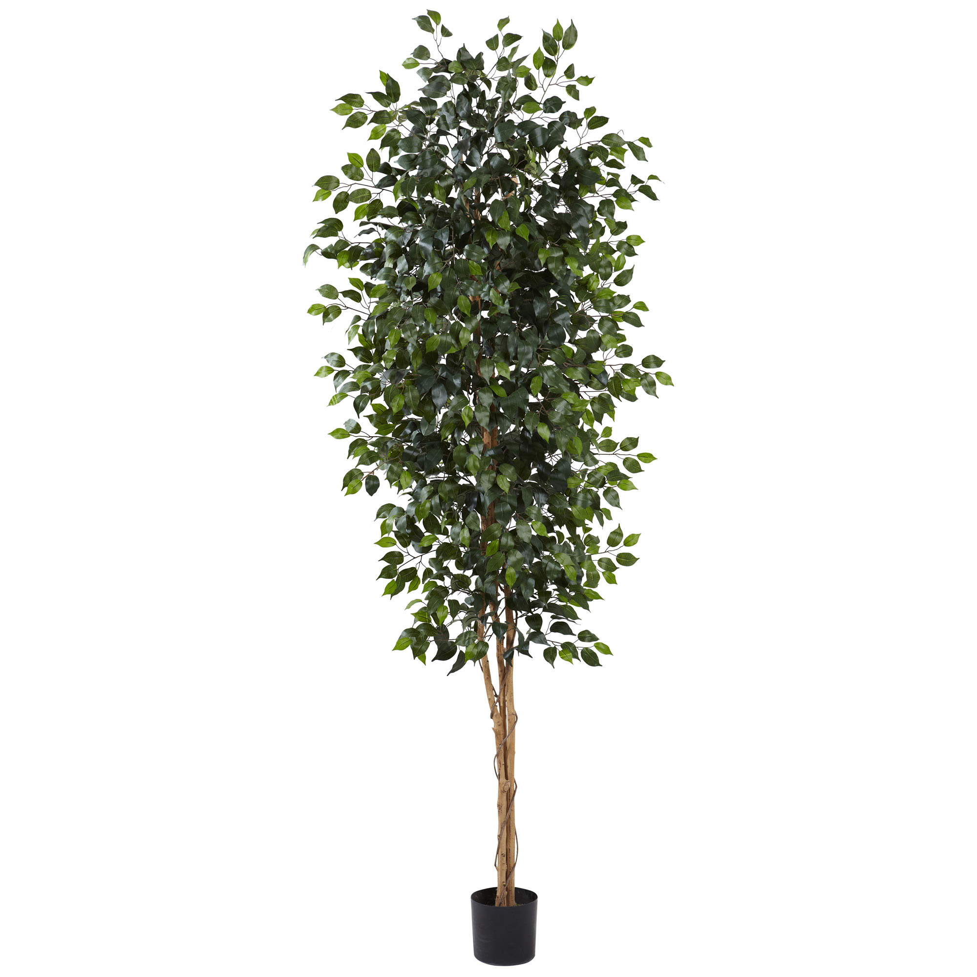 8 foot Indoor Silk Ficus Tree Potted 5427