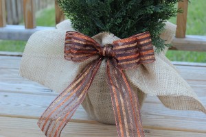 DIY Burlap Wrapped Pot for a Fall Topiary