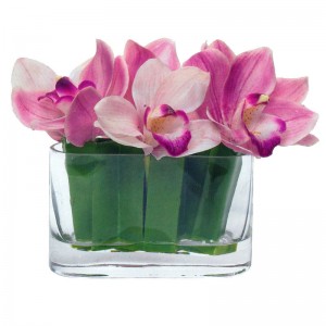 Cymbidium Orchids in Water