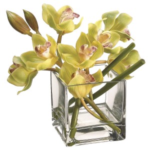 8-Inch Green Cymbidium Orchid