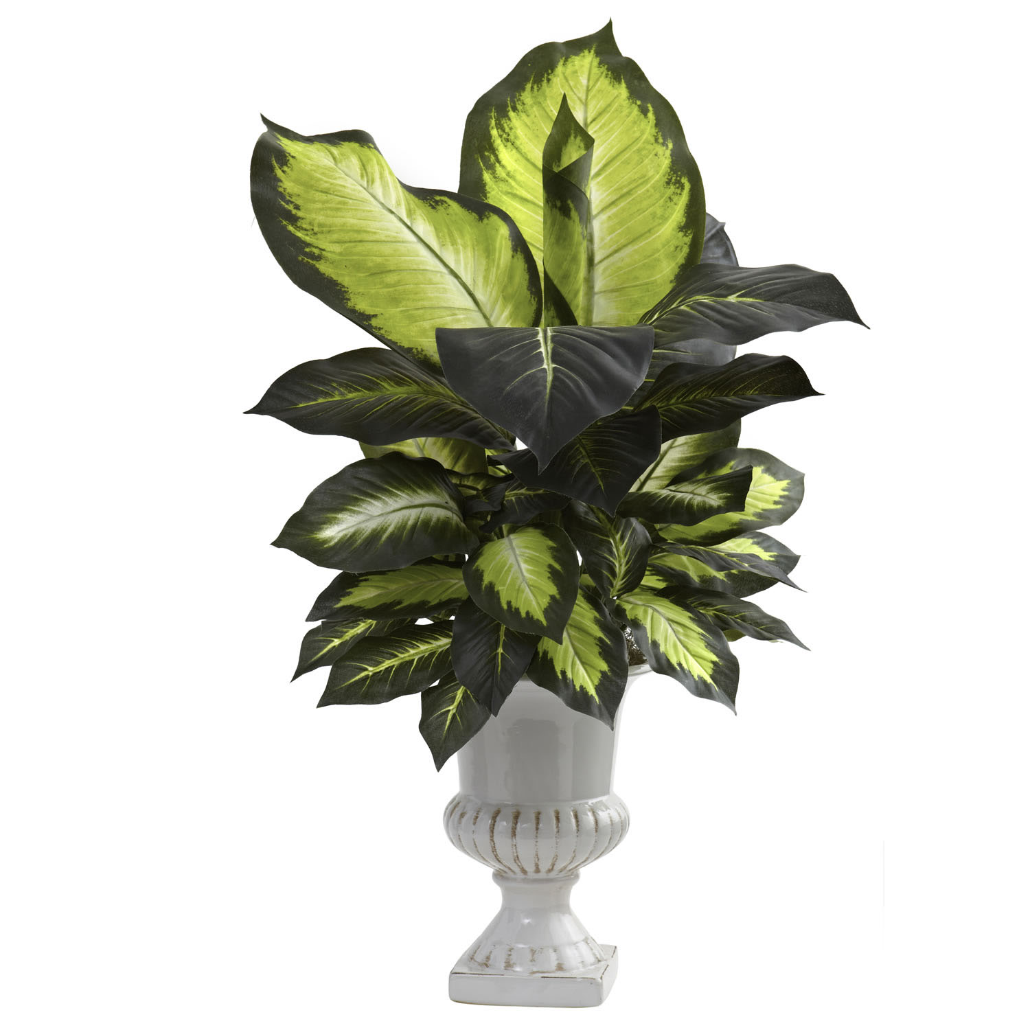 Artificial Dieffenbachia Plants: A Beautiful Houseplant