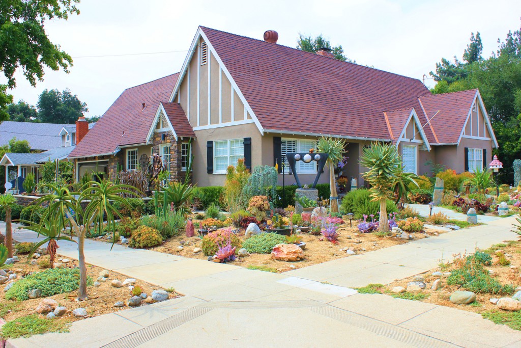 How to Create Drought Resistant Landscaping - Adorned Blog