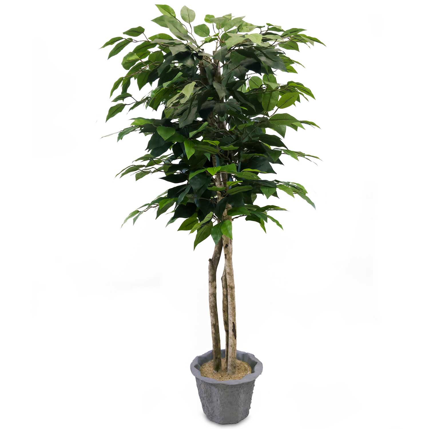 Lalu Home | 4 Foot Silk Artificial Ficus Tree with Natural Trunks | LLH2002