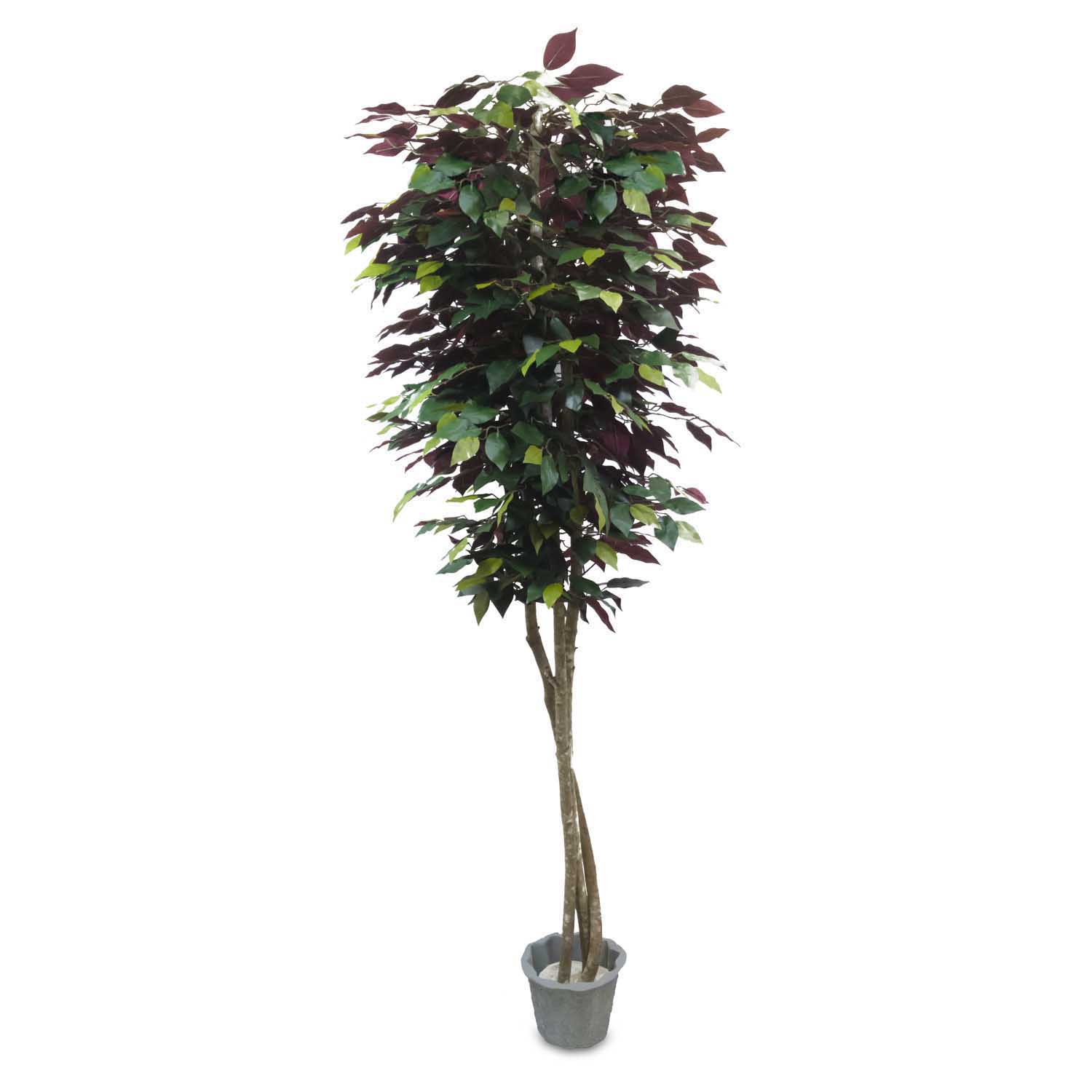 Lalu Home | 6 Foot Wine Red/Green Slim Artificial Ficus Tree with ...