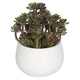 6 inch Artificial Echeveria Succulent in Ceramic Pot