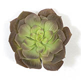 7 inch Artificial Purple Echeveria Succulent