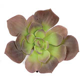 6 inch Artificial Green/Purple Echeveria Succulent