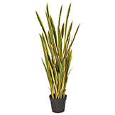 5 foot Plastic Variegated Sansevieria Plant: Potted