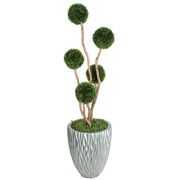 5 Foot Outdoor Plastic Podocarpus Ball Topiary: Potted