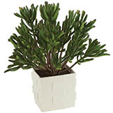 11.5 inch Artificial Coral Plant in Ceramic Pot