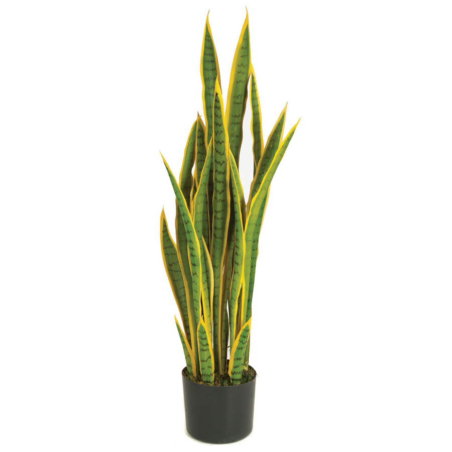 40 inch Plastic Variegated Sansevieria Plant: Potted | A-152020