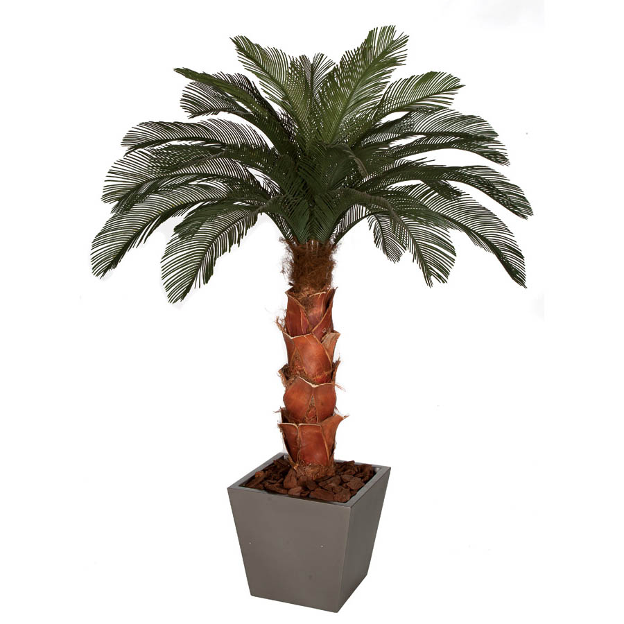 6 Foot Artificial Outdoor Cycas Palm Tree: Natural Trunk & 24 Fronds