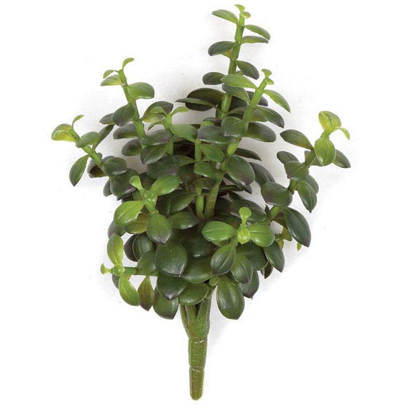 10.5 inch Fire Retardant Money Plant | AR-135780