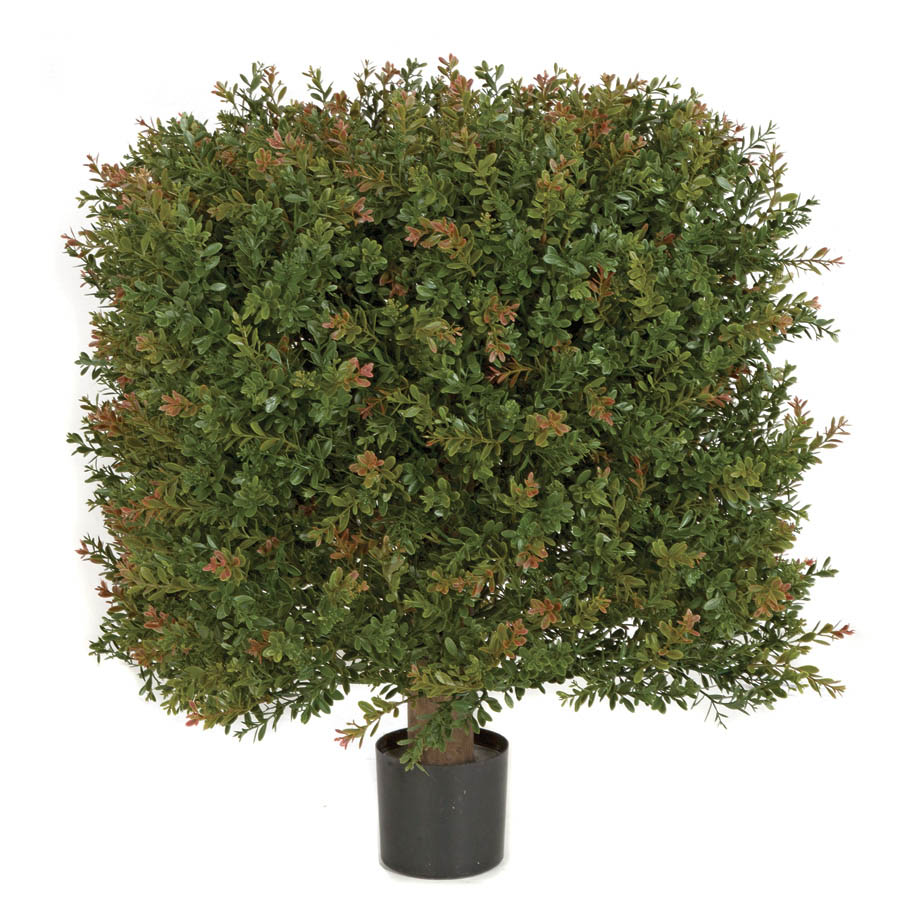 18w X 24h Inch Outdoor Wintergreen Boxwood Square Topiary: Limited Uv