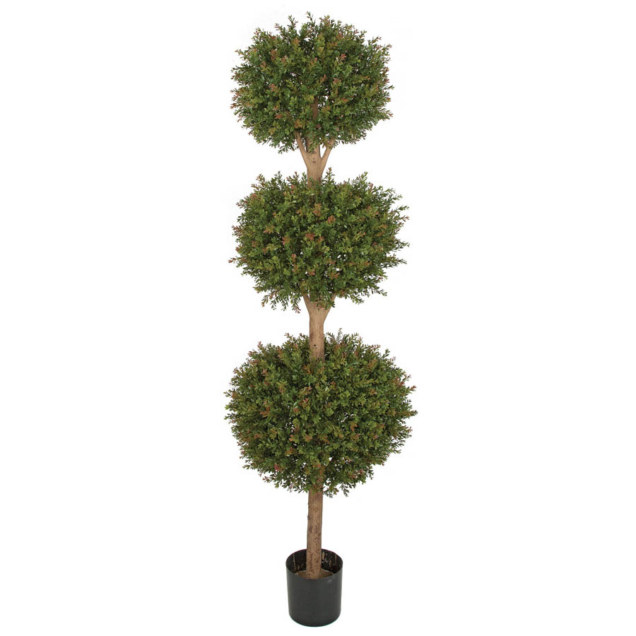 6.5 foot Outdoor Wintergreen Boxwood Triple Ball Topiary: : Limited UV ...