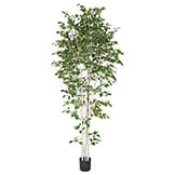 9 foot Birch Tree with Synthetic Trunks: Potted