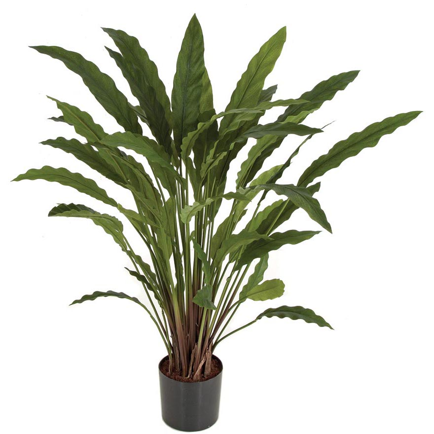 32 Inch Fire Retardant Spathiphyllum Plant: Potted