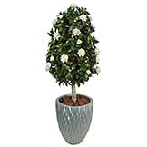 4.5 foot Outdoor Artificial White Gardenia Topiary: Potted