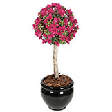 3.5 foot Beauty Outdoor Artificial Azalea Ball Topiary: Potted