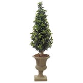 5 foot Artificial Outdoor Laurel Cone Topiary: Natural Trunk