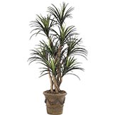 5 foot Artificial Outdoor Liriope Tree: Potted