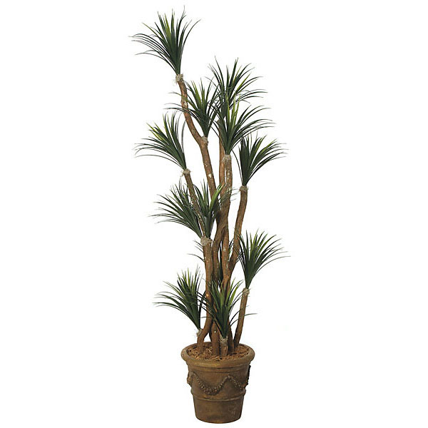 7 Foot Artificial Outdoor Liriope Tree: Potted