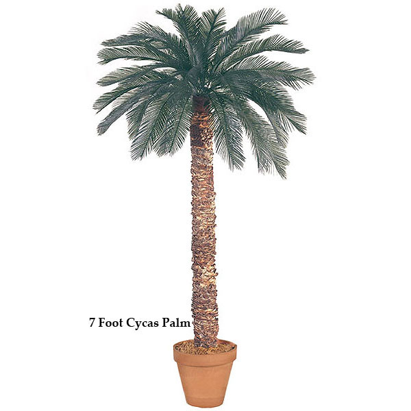 5 Foot Artificial Outdoor Cycas Palm With 36 Fronds And Natural Trunk