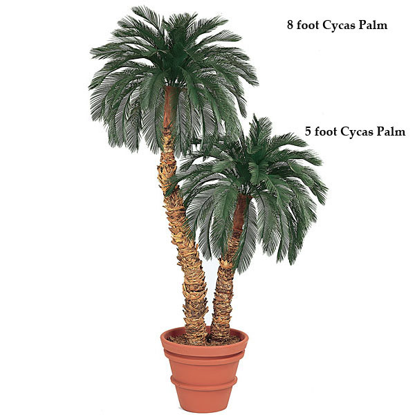 9 Foot Artificial Outdoor Cycas Palm With 48 Fronds: Single Trunk