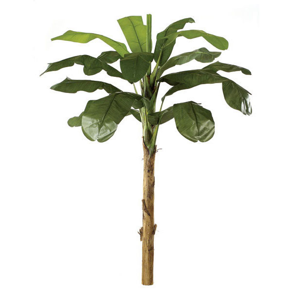 6 Foot Artificial Banana Palm With Synthetic Trunk