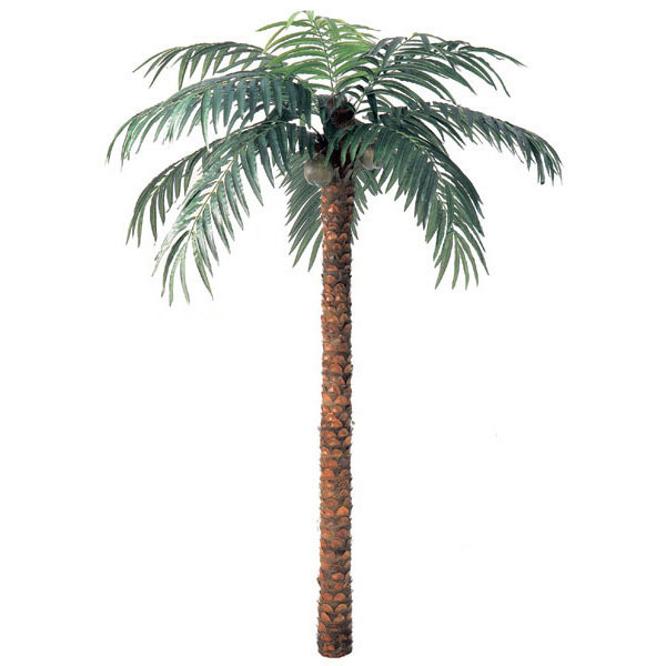 12 Foot Artificial Coconut Palm With Natural Trunk