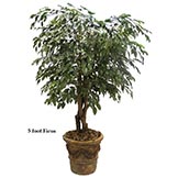 6 foot Outdoor Artificial Ficus Tree with Natural Trunks