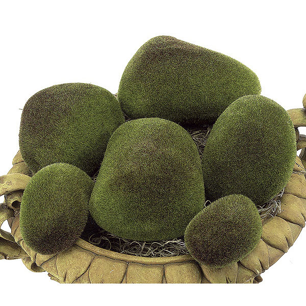 Plastic Moss Rocks - Set Of 6