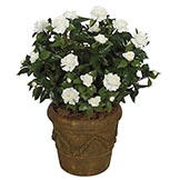 28 inch Artificial Outdoor Gardenia Flowers: Red and White