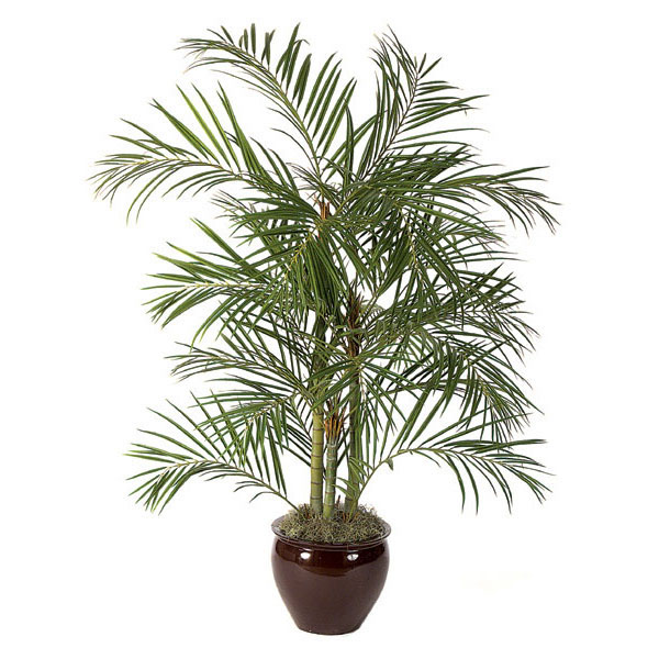 6 Foot Artificial Areca Palm: Potted