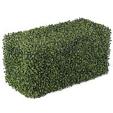 24 x 12 x 12 inch 5 sided Boxwood Hedge: UV Protected