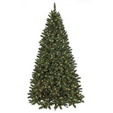 Flat Back Fir Wall Tree