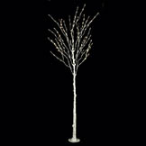 8 foot LED Birch Tree: White 5MM LEDs