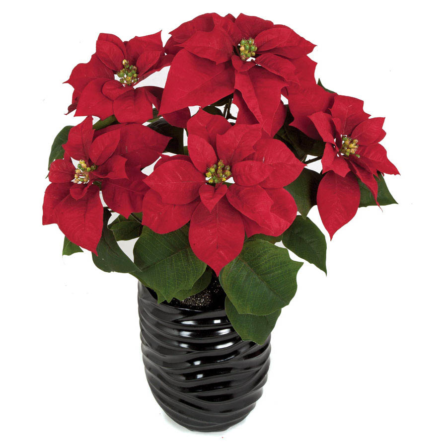 23 inch Red Poinsettia Bush with 5 Flowers (Set of 3) | P-150420