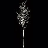 9 foot White Plastic Coral Branch