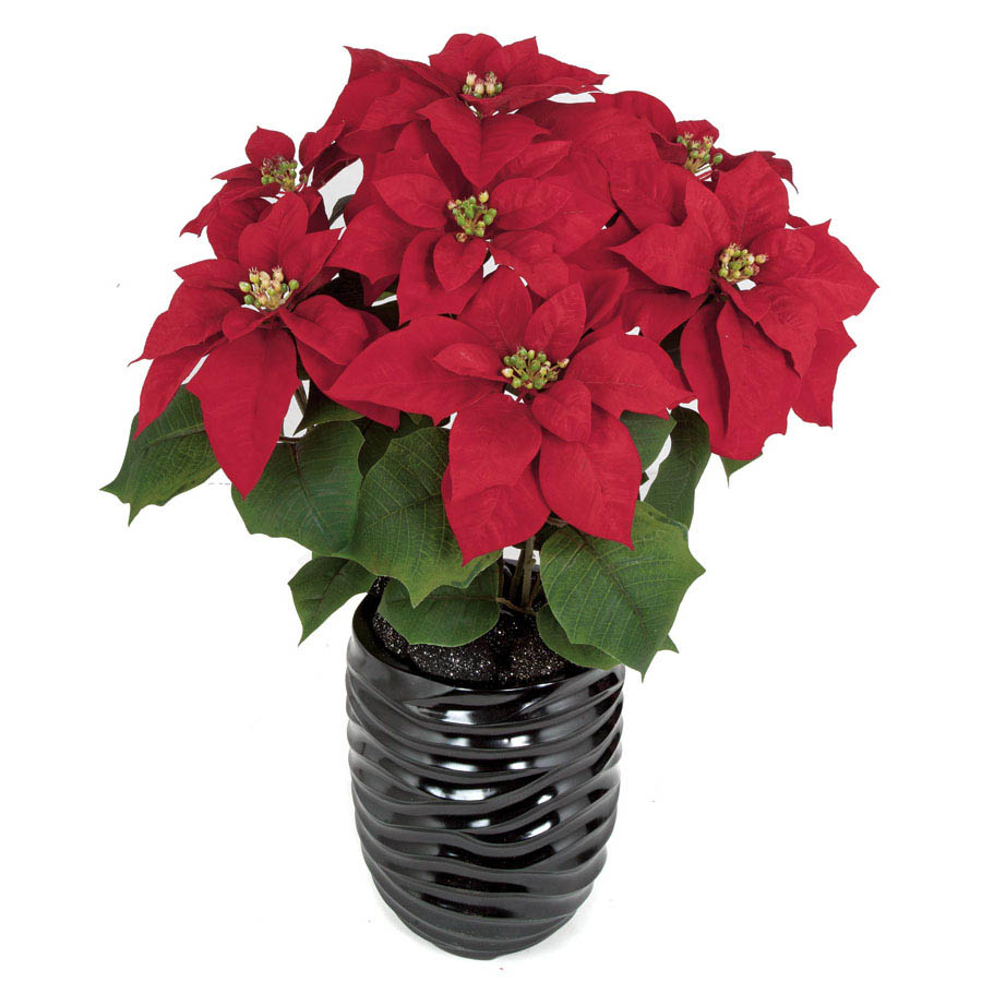 23 inch Red Velvet Poinsettia Bush with 7 Flowers (Set of 2) | P-150430