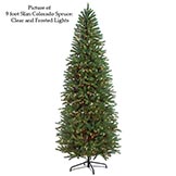 9 foot Slim Colorado Spruce Tree: Clear All Lit Lights