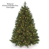 4.5 foot Arolla Pine Tree: Clear LED
