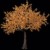 8 foot Maple Leaf Tree w/ Shapeable Branches: Clear 5MM LEDs
