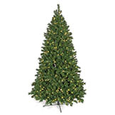 7.5 foot Fluff Free Westford Pine Tree: Unlit