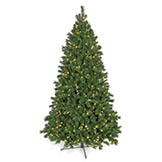 7.5 foot Fluff Free Westford Pine Tree: Clear Lights