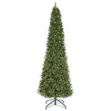 15 foot Pencil Emerald Pine Tree: Clear 5MM LEDs