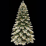 9 foot Flocked Mountain Pine Tree: Clear LEDs