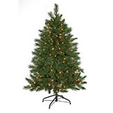 5 foot Noble Flat Tree: Clear Lights